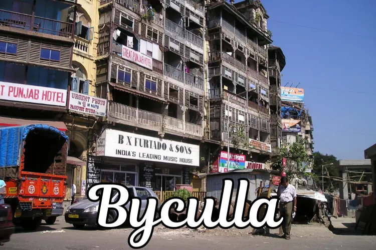 Local Place In Mumbai Byculla