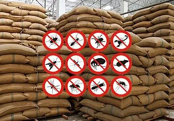Stored Product Pests