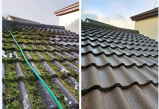 Terrace/Roof Cleaning